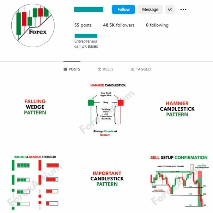 45K Forex Cryptocurrency Trading Instagram Account for sale