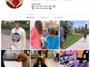60K Pets Dogs Instagram Account for sale