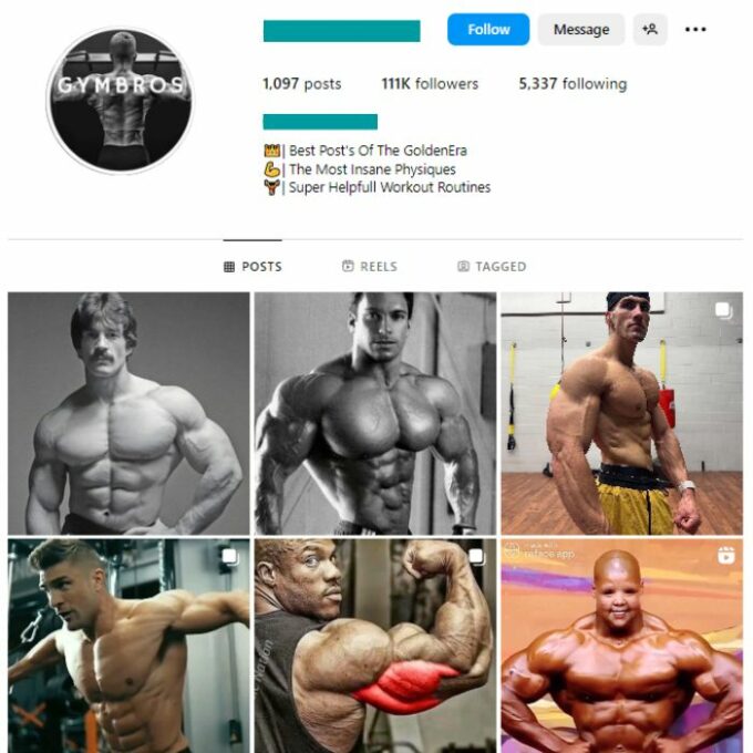 110K Gym Fitness Motivation Instagram Account for sale