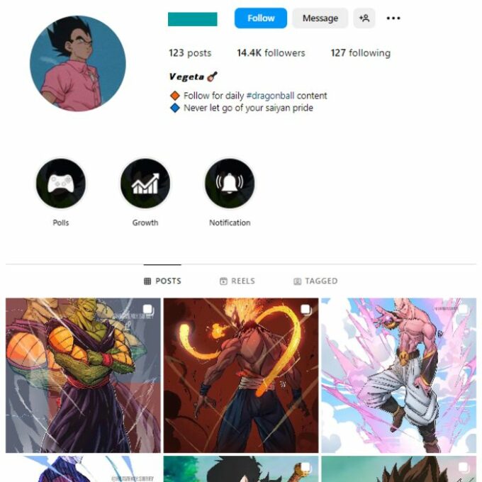 14k Dragon Ball Anime Instagram Account for sale