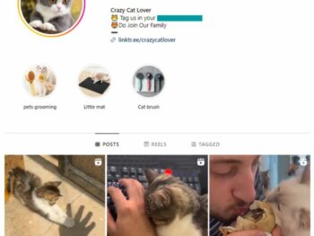 170K Cute Cats Instagram Account for sale
