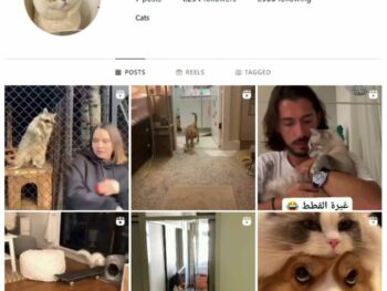 1K Pets Cats Instagram Account for sale