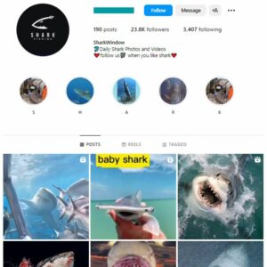 20k Fish Shark Instagram Account for sale