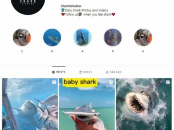 20k Fish Shark Instagram Account for sale