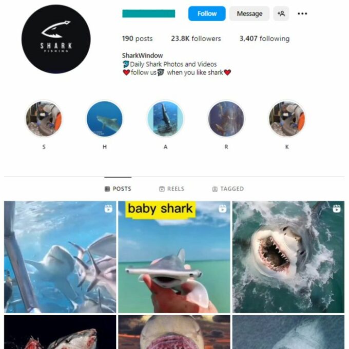 20k Fish Shark Instagram Account for sale