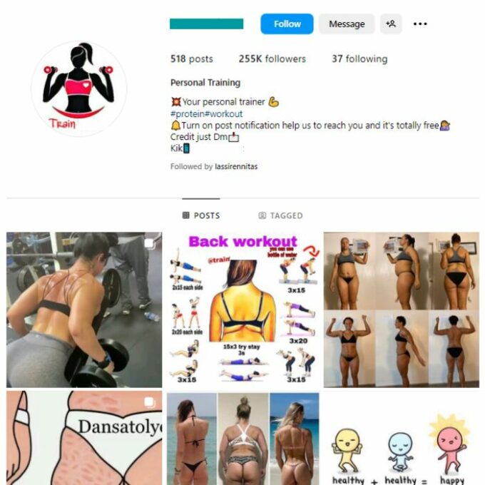 250K Fitness Fat-loss Instagram Account for sale