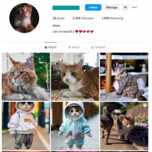 2K Pets Cats Instagram Account for sale