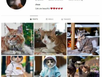 2K Pets Cats Instagram Account for sale
