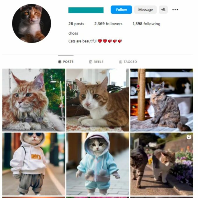 2K Pets Cats Instagram Account for sale