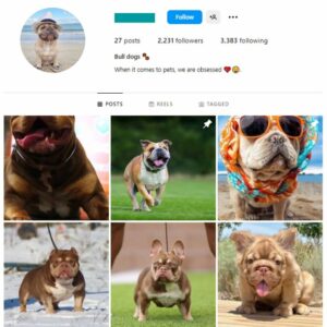 2K Pets Dogs Instagram Account for sale