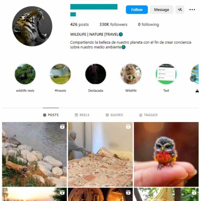 330K Animals Wildlife Instagram Account for sale