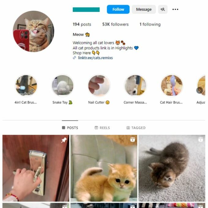 50K Kittens Cats Instagram Account for sale