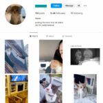 75K Kittens Cats Instagram Account for sale