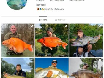 1K Fishing Explore Instagram Account for sale