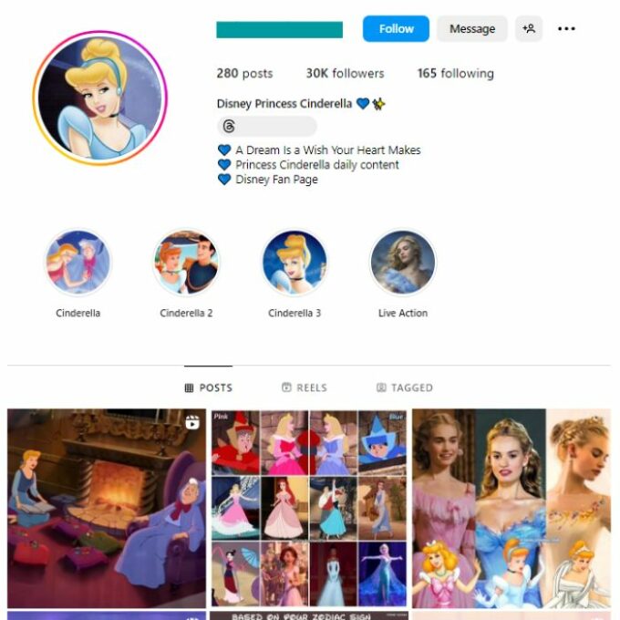 30K Disney Cinderella Instagram Account for sale
