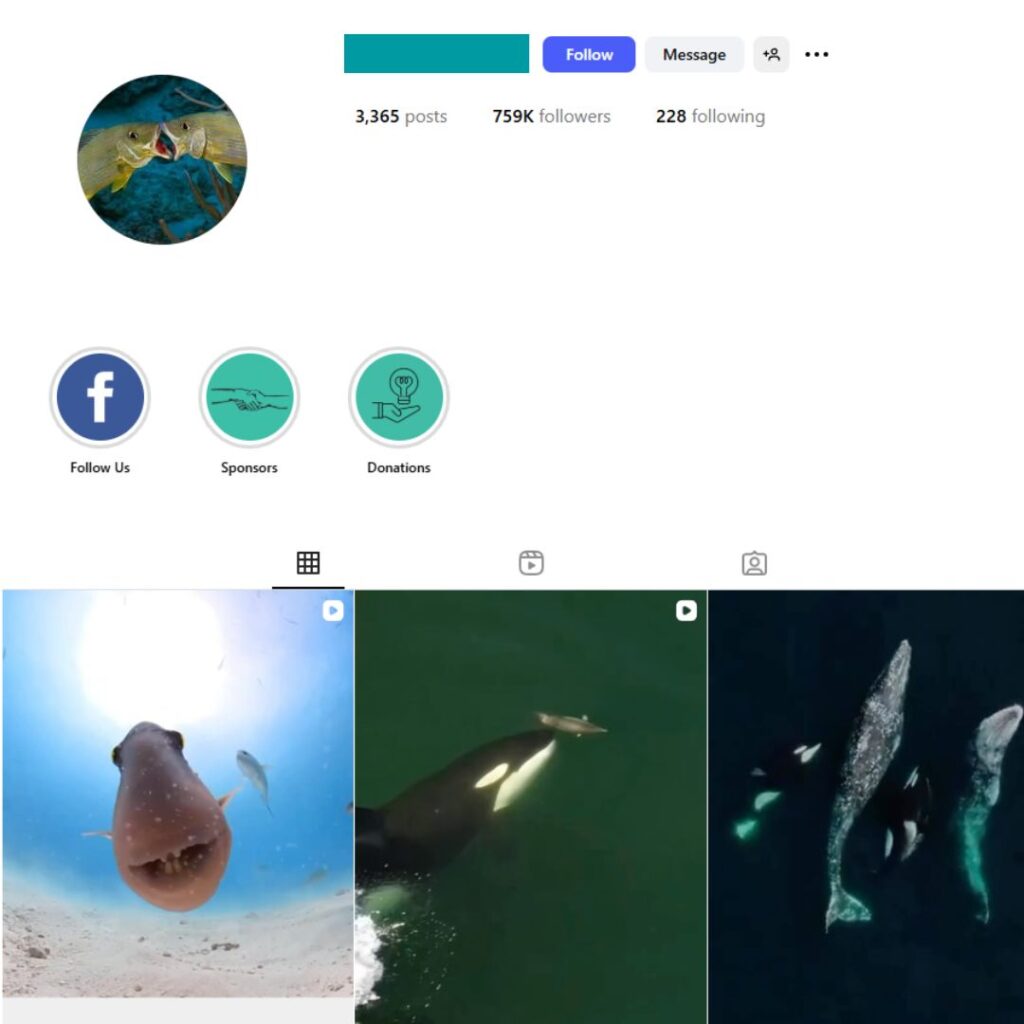 750K Ocean Wild Life Instagram Account for Sale