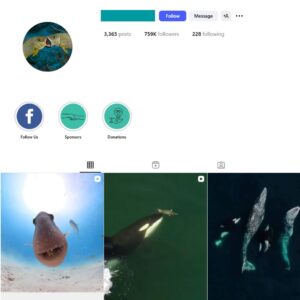 750K Ocean Wild Life Instagram Account for Sale