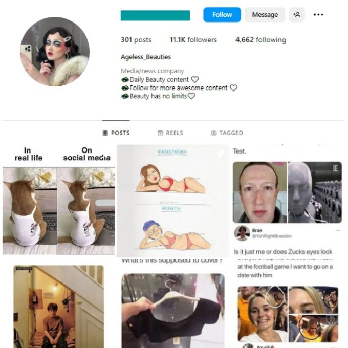 11k Memes Instagram Account for sale