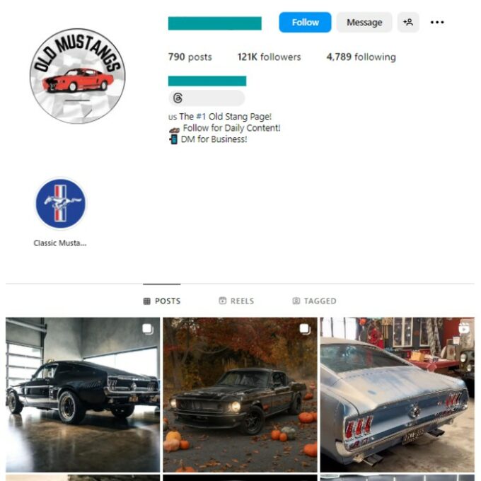120K Mustang Cars Instagram Account for sale