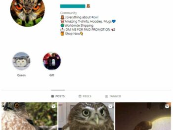 180K Owls Animals Instagram Account for sale