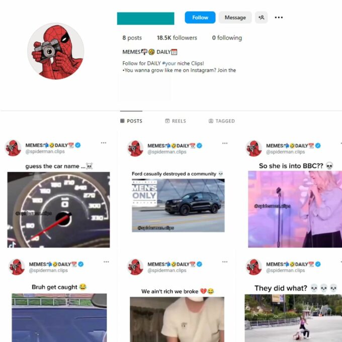 18K Spiderman Memes Instagram Account for Sale