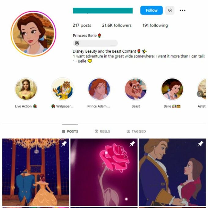 20k Disney Princess Instagram Account for sale