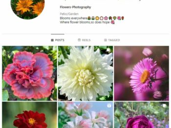 2K Beautiful Flowers Instagram Account for sale