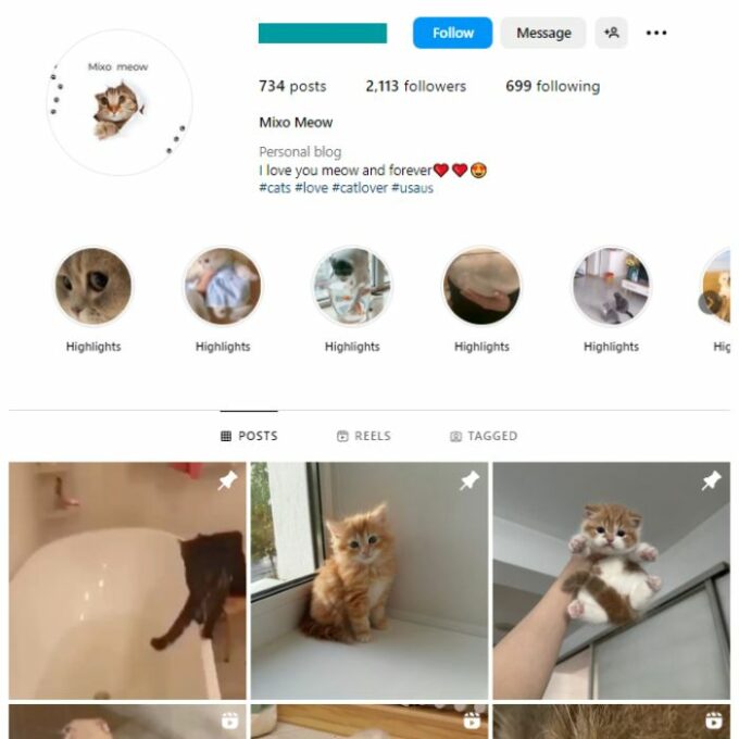 2K Cats Kittens Instagram Account for sale