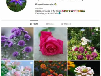 2K Nature Flowers Instagram Account for sale