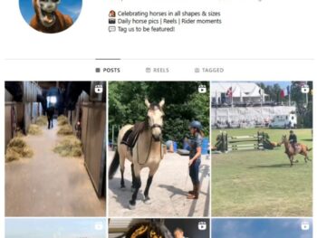39K Horses Animals Instagram Account for sale