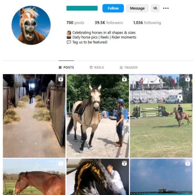 39K Horses Animals Instagram Account for sale