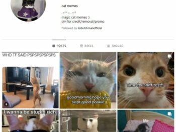 40K Cat Memes Instagram Account for sale