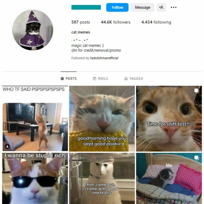 40K Cat Memes Instagram Account for sale