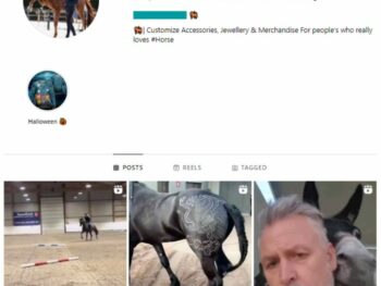 40K Horse Animals Instagram Account for sale