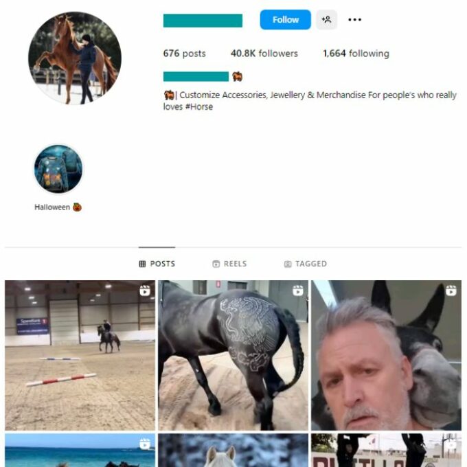 40K Horse Animals Instagram Account for sale