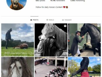 40K Horses Animals Instagram Account for sale