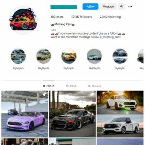 50K Mustang Cars Instagram Account for sale