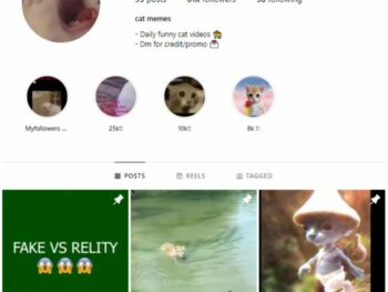 60K Cats Kittens Instagram Account for sale