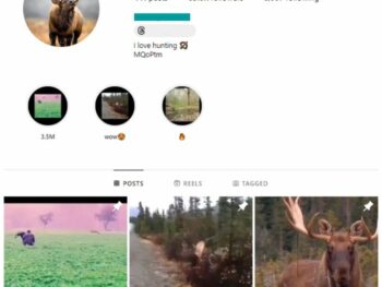 60K Hunting Wildlife Instagram Account for sale