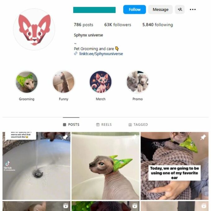 60K Sphynx Cat Instagram Account for sale