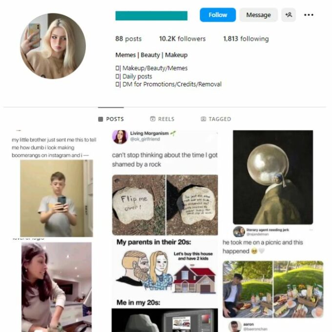 10K Girl Memes Instagram Account for sale