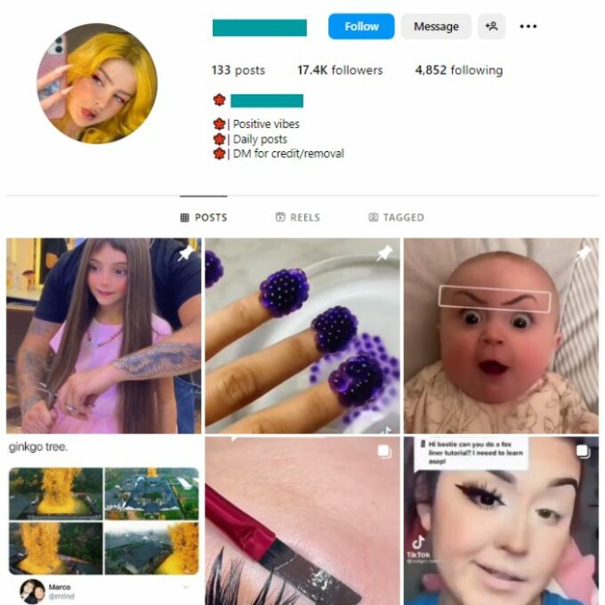 15K Girl Makeup Instagram Account for sale