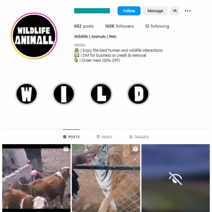 160K Animals Wildlife Instagram Account for sale