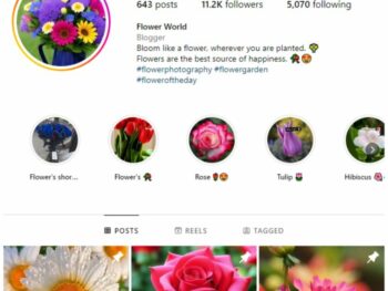 11K Beautiful Flowers Instagram Account for sale