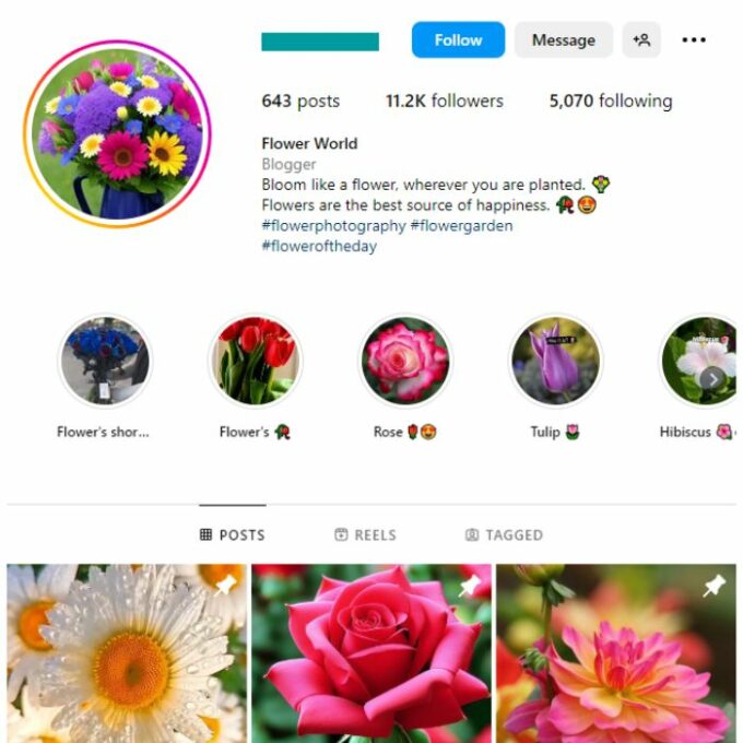 11K Beautiful Flowers Instagram Account for sale