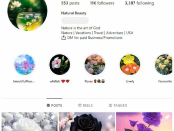 11K Flowers Nature Instagram Account for sale