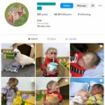 48K Pet Monkey Instagram Account for sale