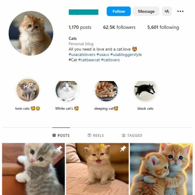 60K Pets Cats Instagram Account for sale