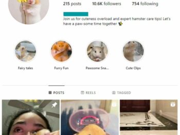 10K Hamster Pets Instagram Account for sale
