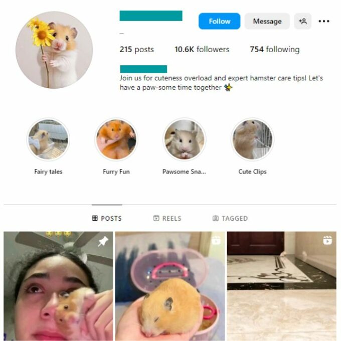 10K Hamster Pets Instagram Account for sale